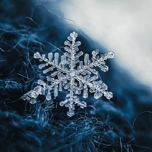 امیرحسن قدمی دردت به جونم دلم تنگ شده واست آروم جونم